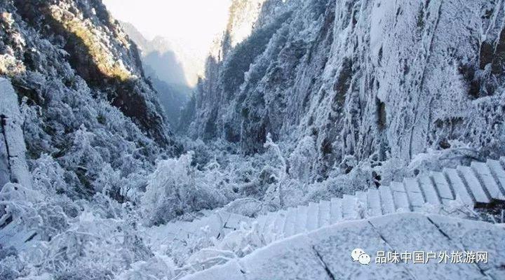小猫的生活习性是什么？